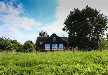 Landhaus Am Deich Dornum Dış mekan fotoğraf